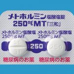 メトホルミン塩酸塩錠250mgMT「三和」